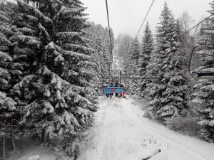 Fotografia z galérie ubytovania Alm-House HOLLMANN v destinácii Železná Ruda