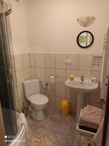 a bathroom with a toilet and a sink at Agroturystyka u Pawła i Asi in Kobyla Góra