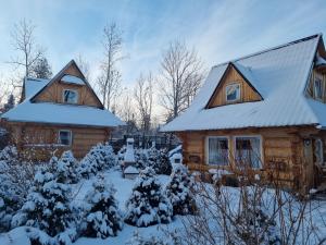 ザコパネにあるDomki u Ciaptokaの屋根に雪が積もった丸太キャビン