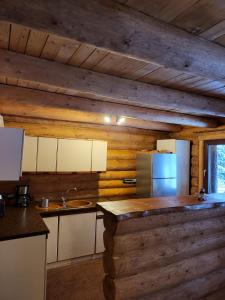 a kitchen with wooden walls and a counter with a refrigerator at Cabana Lupilor in Tău Bistra