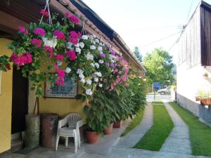 A garden outside Chalupa Kucbel