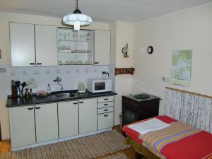 A kitchen or kitchenette at Chalupa Kucbel