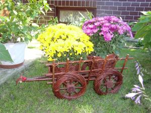A garden outside Chalupa Kucbel