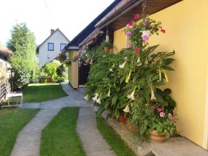 A garden outside Chalupa Kucbel