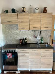 A kitchen or kitchenette at Aracsa Farm és Vendégház Kis Balaton és termál fürdők