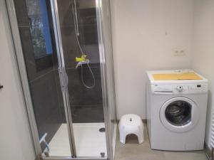 um chuveiro na casa de banho com uma máquina de lavar roupa em l'abri'gîte sous les arbres em Huy