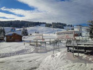 Albergo Miramonti Dependance en invierno