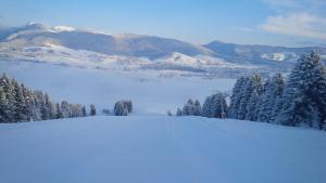 Albergo Miramonti Dependance en invierno