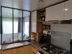Les Pins del Sol - camping la réserve的厨房或小厨房