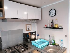 Les Pins del Sol - camping la réserve的厨房或小厨房