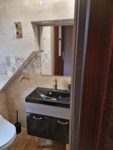 a bathroom with a sink and a toilet at vinico in Piechowice
