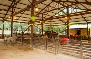 Hotel Mesa De Los Santos餐厅或其他用餐的地方