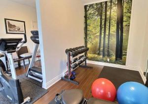 Fitness centrum a/nebo fitness zařízení v ubytování Le 201 Champlain Bromont