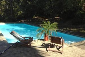 two chairs and a palm tree next to a swimming pool at La Victorine in Vieille-Toulouse