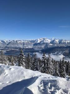 vistas a una cordillera nevada con árboles nevados en Les Gîtes du Lachat, en Saint-Sylvestre