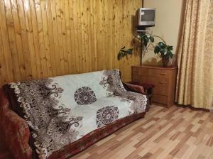 a bedroom with a bed and a tv on a wall at Долина Карпат in Slavske
