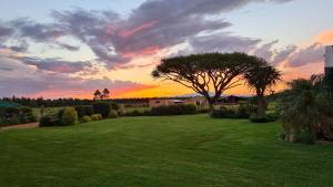 a sunset over a field with a tree in a yard at Forest Hill Country Lodge in Piet Retief