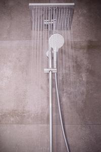 a shower with a shower head with a shower curtain at Appartement avec sauna au pied de la citadelle in Besançon