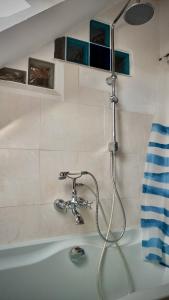 a shower in a bathroom with a bath tub at Ferienappartement Rondine Bekond in Bekond