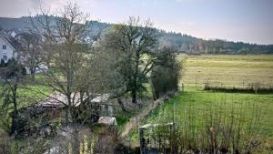 vista su un campo con recinzione e alberi di Ferienappartement Rondine Bekond a Bekond