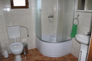 a bathroom with a shower and a toilet and a sink at Pensiunea Casa Noastra in Baia de Fier +106 photos