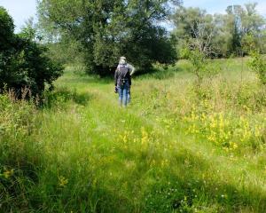 StrodehneにあるBotanische Botschaftのギャラリーの写真