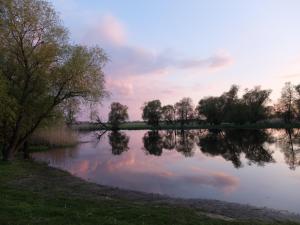 StrodehneにあるBotanische Botschaftのギャラリーの写真