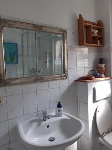 a bathroom with a sink and a mirror and a toilet at Große Ferienwohnung in Flecken Zechlin in Rheinsberg