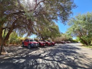 una fila de autos estacionados al costado de una carretera en Hotel Agua del Desierto, en Calama