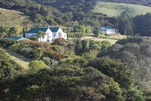 une maison au sommet d'une colline avec des arbres dans l'établissement Glenfern Sanctuary, à Port Fitzroy