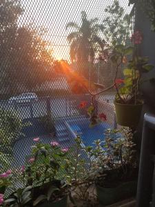 uitzicht op een tuin met potplanten en een hek bij Cana Cacum in Yerba Buena