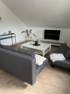 sala de estar con sofá y TV en Ferienwohnung Mica en Bad Kissingen