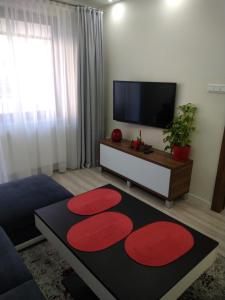 Televízia a/alebo spoločenská miestnosť v ubytovaní apartament rodzinny