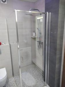 ein Bad mit einer Dusche und einem WC in der Unterkunft apartament rodzinny in Krynica-Zdrój
