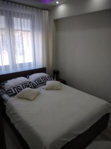 a bedroom with a bed with two pillows and a window at apartament rodzinny in Krynica Zdrój