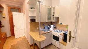 Il comprend une petite cuisine équipée d'un évier et d'une cuisinière. dans l'établissement Apartament we Lwowie, à Lviv