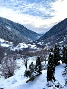 Photo de la galerie de l'établissement Hotel & SPA Bringué, à Ordino