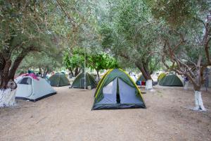 a group of tents in a field under trees at Camping Koula in Parikia
