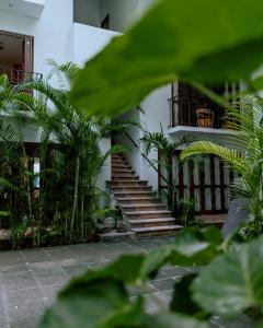 a building with stairs and a bunch of plants at Zihuatanejo studio in Zihuatanejo
