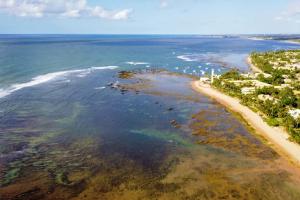 una vista aérea de la playa y del océano en Piscinas Naturais de Praia do Forte, en Praia do Forte