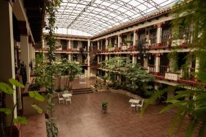 arium de un edificio con plantas, mesas y sillas en Hotel D’Monica, en San Cristóbal de Las Casas