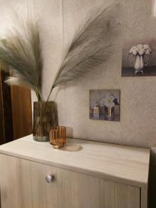 a vase with feathers in it on top of a counter at Dream Apartment in Bansko