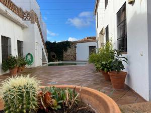 a courtyard with potted plants and a swimming pool at Dúplex con piscina en centro Cazalla in Cazalla de la Sierra
