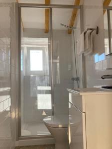 a bathroom with a toilet and a glass shower at Constância Guest House in Constância