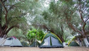 a group of tents under a group of trees at Camping Koula in Parikia