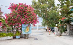 a woman walking down a street with pink flowers at Camping Koula in Parikia