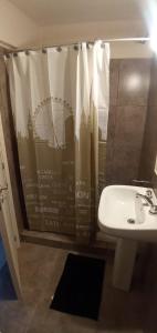 une salle de bain avec un lavabo et un rideau de douche dans l'établissement Cipreses 1 MONOAMB EN EL CENTRO, à San Martín de los Andes