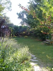 d'un jardin avec un banc, de la pelouse et des arbres. dans l'établissement Casa en Luján de Cuyo con pileta, à Vistalba