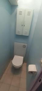 ein Badezimmer mit einem weißen WC in einer blauen Wand in der Unterkunft Sole e Mare 2 pièces aperçu mer in Golfe-Juan