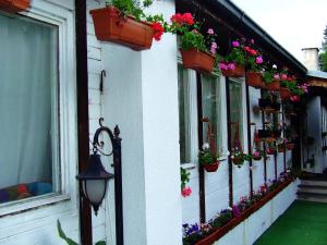 a house with potted plants on the windows and a street light at Hostel Domestika in Bitola